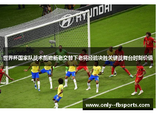 世界杯国家队战术前瞻新老交替下老将经验决胜关键战舞台时刻价值